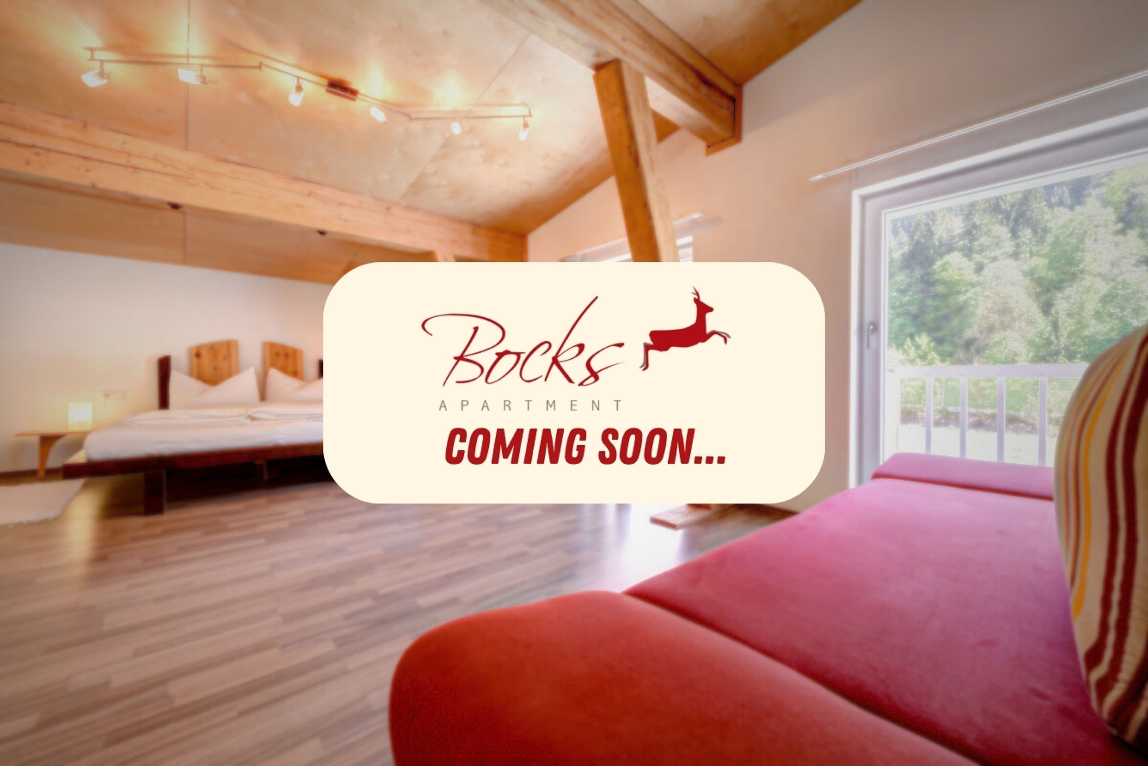 Bocks Apartments 61 - Top 2 Ursprung - Image 5