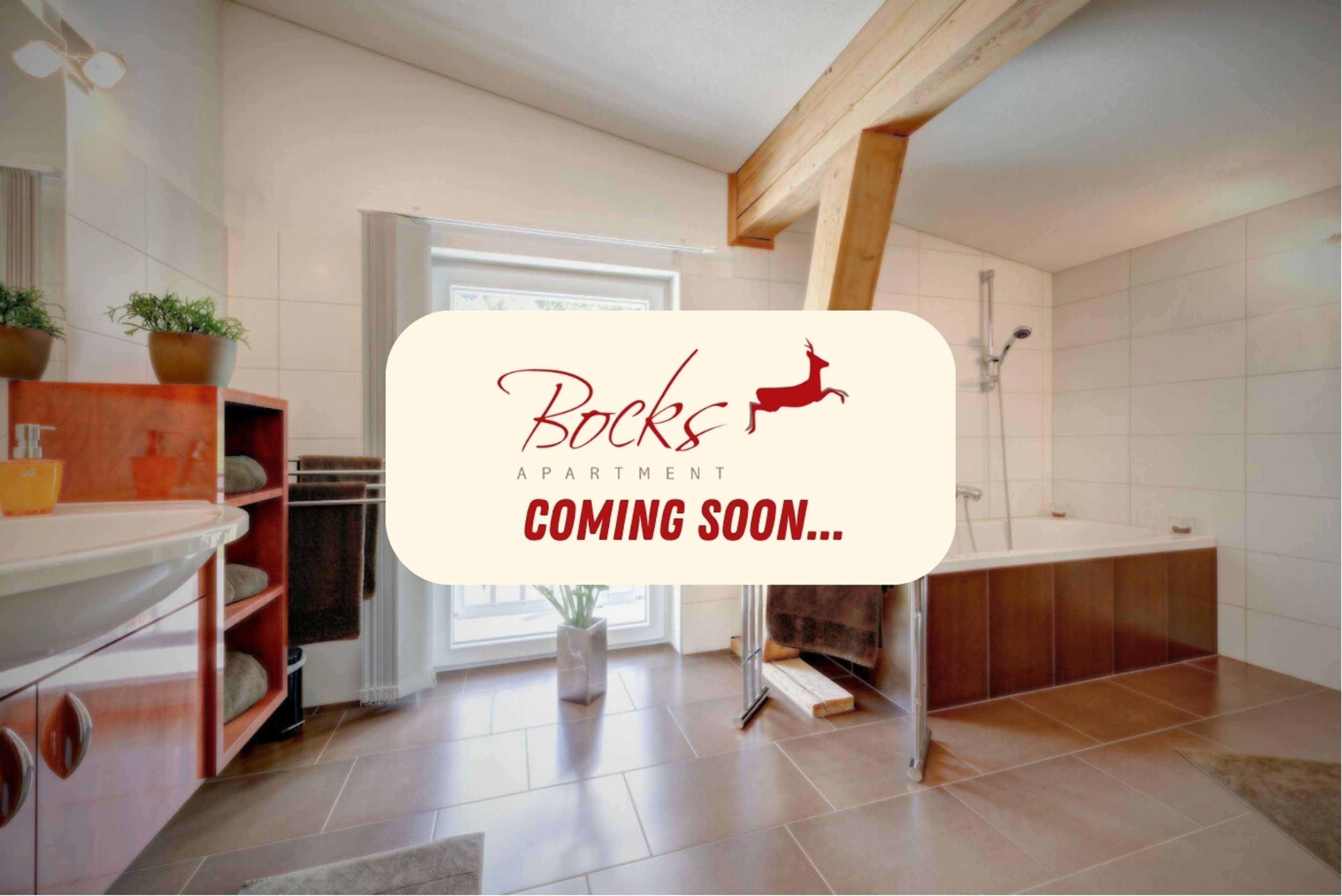 Bocks Apartments 61 - Top 2 Ursprung - Image 4